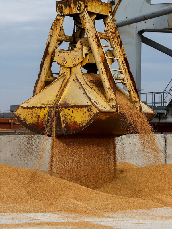 러시아군이 점령한 우크라이나 남부 마이우폴 항구에서 러시아 로스토프온돈 지방에 전달될 밀이 화물선에 선적되고 있다. 2023.10.25. [로이터 자료사진] 연합뉴스 