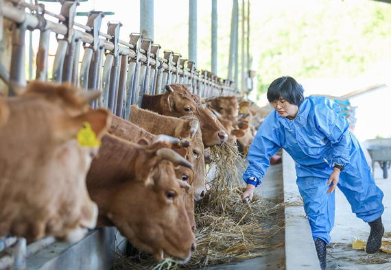 임미애 후보 페이스북 갈무리 
