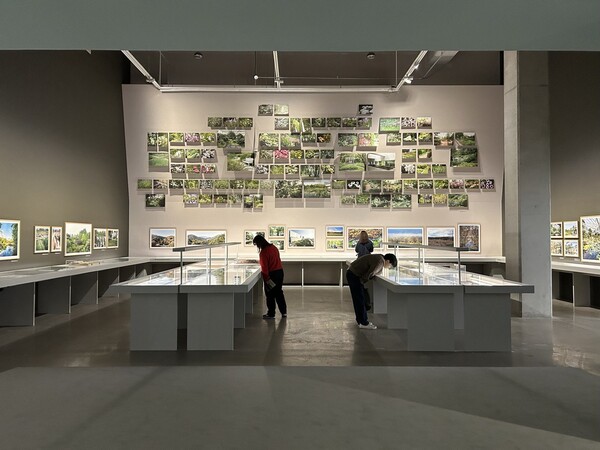 ‘정영선: 이 땅에 숨 쉬는 모든 것을 위하여’ 서브전시장.