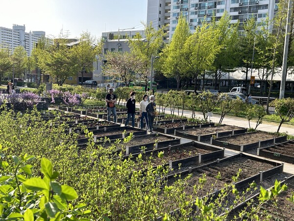 경춘선 숲길의 공동텃밭.