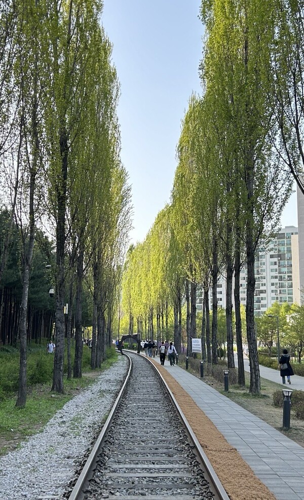 경의선 숲길 일부. 
