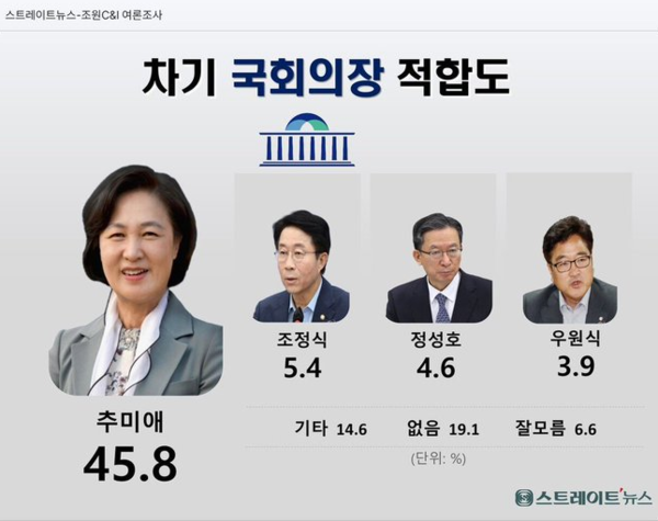 이번에 추미애에 대한 '민심'의 지지는 압도적이었다/ 스트레이트 뉴스 화면 갈무리