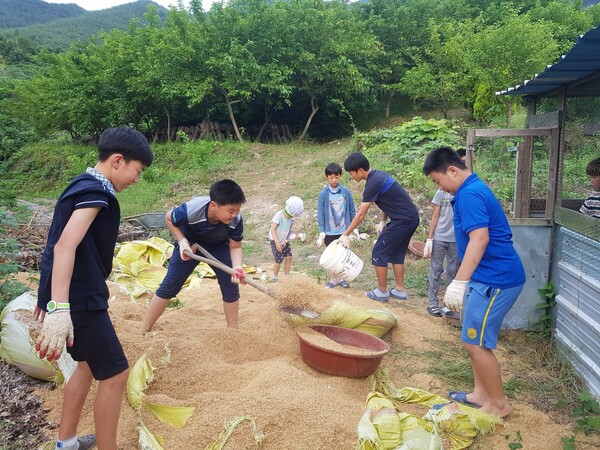 청량산풍경원산촌유학센터에 참여한 학생들이 왕겨를 퍼 옮기고 있다. 농산어촌유학전국협의회 홈페이지