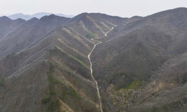  민주지산 보호지역 전경, 왼쪽이 벌채된 공간, 오른쪽이 보호된 공간. [자료 : 그린피스] 
