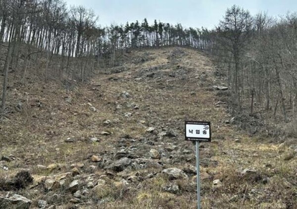 민주지산 보호지역 내 벌채 구역. [자료 : 그린피스]