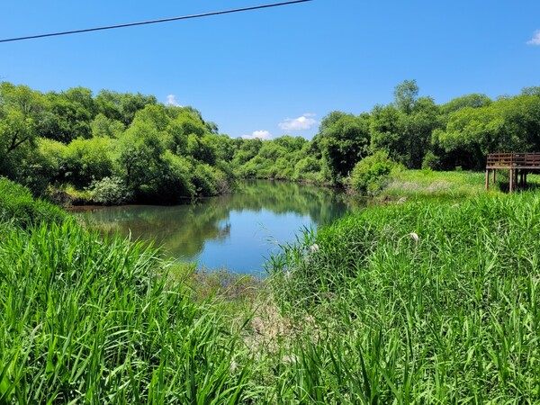 용양보. 2024.6.26. 시민언론 민들레 