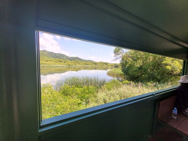 모형 금강산 전차의 창밖 풍경. 2024.6.26. 시민언론 민들레 