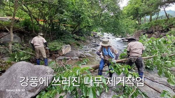 '가평군 청정계곡 하천유지관리 사업' 추진 모습.