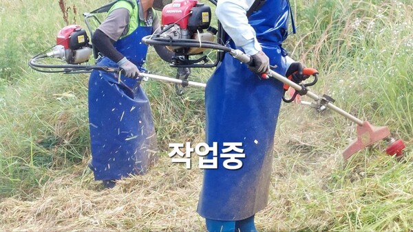 '가평군 청정계곡 하천유지관리 사업' 추진 모습.