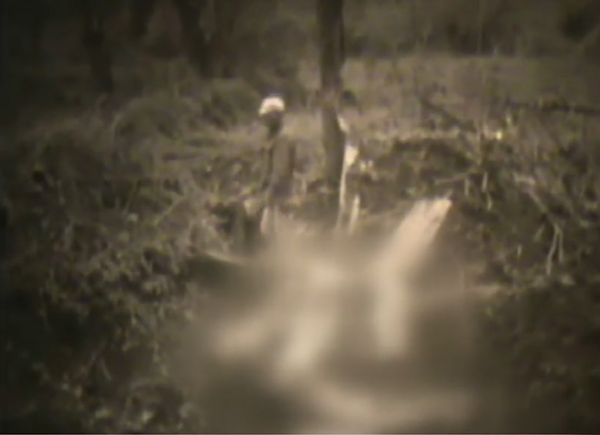 같은 장면을 찍은 흑백 영상. 제164통신 사진중대 볼드윈 1등병 촬영(KBS 화면에서 캡처).