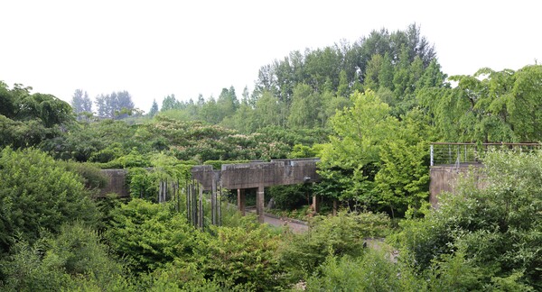 선유도공원 시간의 정원의 여름, 2019. 이동협