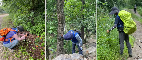 진부령 구간에서 자연생태 탐방 중인 참가자들