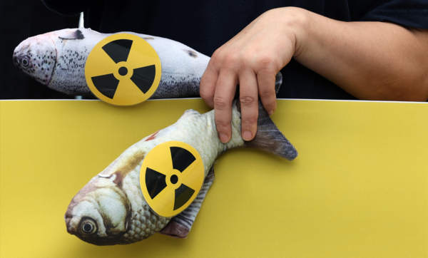 일본 정부와 도쿄전력이 후쿠시마 제1원자력발전소 오염수(일본 정부 명칭 '처리수')의 해양 방류를 시작하는 24일 오전 서울 광화문광장에서 환경운동연합과 서울환경연합 주최로 열린 전국 동시 기자회견에서 한 참가자가 방사능 경고 표시를 부착한 물고기 모양의 인형을 들고 있다. 2023.8.24. 연합뉴스
