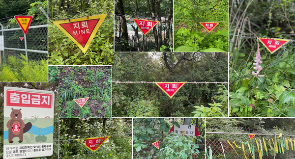 통일걷기 중 마주친 지뢰 표지판들.