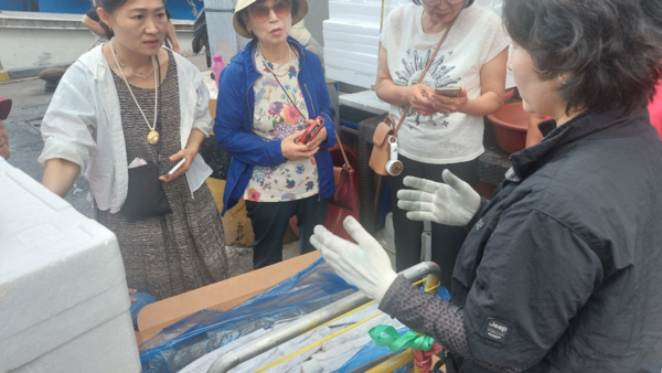 관광을 다니면서도 집 반찬 준비를 염두에 두는 여성 회원들이 성산포 수협 공판장 인근 가게에서 상처가 조금 난 갈치를 헐값에 사서 택배로 부쳤다. © 이봉수