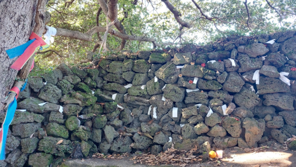 수산초등학교 뒤 진안할망당에 꽂혀 있는 백지 소지들. © 이봉수
