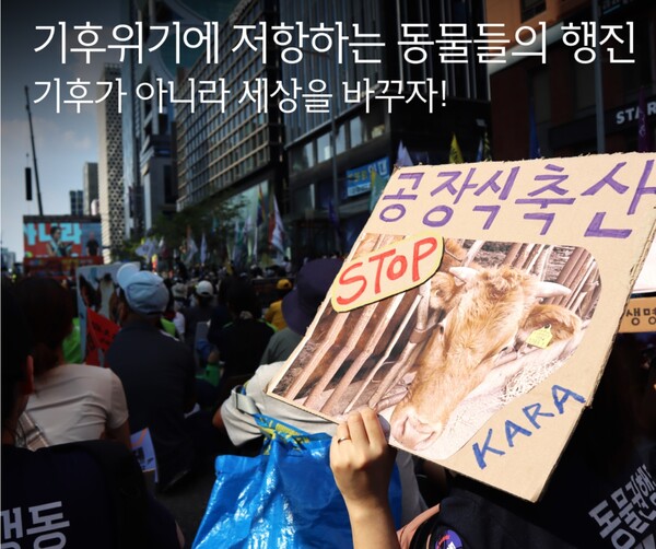 동물권행동 카라(KARA)