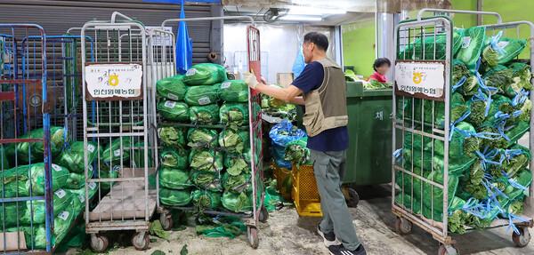 5일 오전 인천 남동구 남촌농산물도매시장에서 상인들이 배추를 옮기고 있다. 이날 남촌농산물도매시장에서는 배추 3포기 1망에 2만7000~3만 원에 소매 판매됐다. 2024.9.5. 연합뉴스