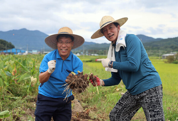 조국(오른쪽) 조국혁신당 대표가 16일 10·16 재보궐선거 전남 곡성군수 재선거 박웅두(왼쪽) 후보를 지원하기 위해 전남 곡성군에서 월세살이하며 토란 수확을 돕고 있다. 2024.9.16 [박웅두 예비후보 측 제공. 재판매 및 DB 금지] 연합뉴스