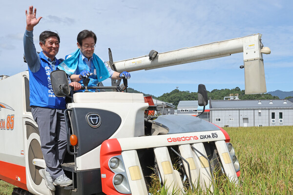 24일 오전 전남 곡성군 석곡면 논에서 이재명 더불어민주당 대표(오른쪽)와 조상래 곡성군수 재선거 후보가 콤바인을 몰고 있다. 2024.9.24. 연합뉴스