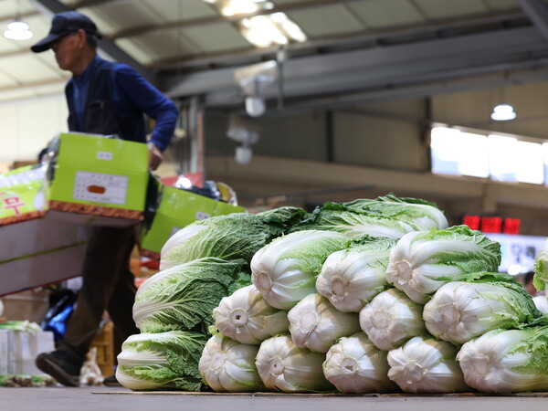 기록적인 폭염으로 인해 채소 가격이 크게 오른 24일 오후 서울 한 시장에 배추가 놓여 있다. 2024.9.24. 연합뉴스