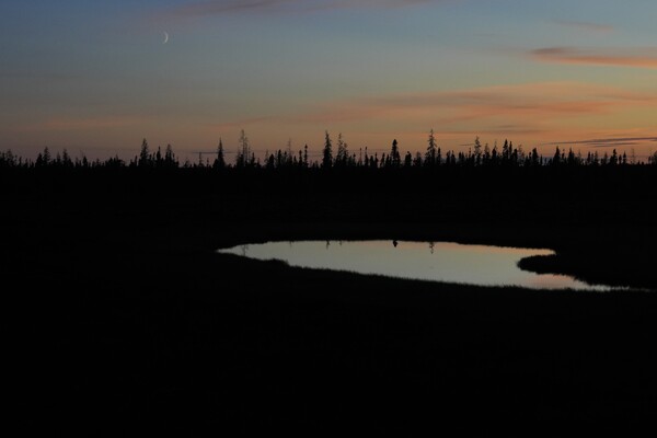 지난 8월 8일, 캐나다 매니토바 주 처칠과 길리엄 사이의 숲 위로 해가 지고 달이 뜨는 시각의 풍경. 2024.8.8. AP 연합뉴스