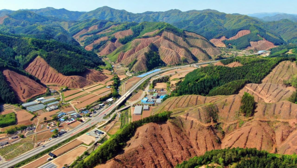 벌목으로 황폐해진 강원도 산간지역.   유정길 제공