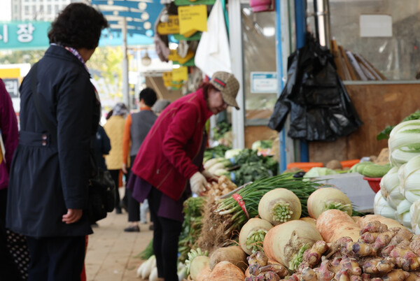 김장철을 맞아 배추, 무 등  김장 주 재료의 가격이 50% 넘게 올랐다. 사진은 서울 한 전통시장에서 한 소비자가 배추와 무를 고르는 모습. 2024.10.30. 연합뉴스