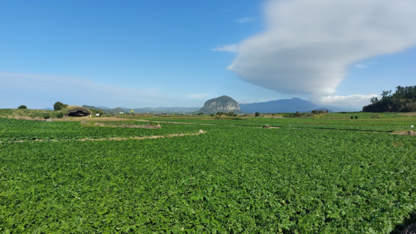 알뜨르비행장 일대. 왼쪽부터 일제가 건설한 비행기 격납고, 산방산, 한라산이 차례로 보인다. © 이봉수