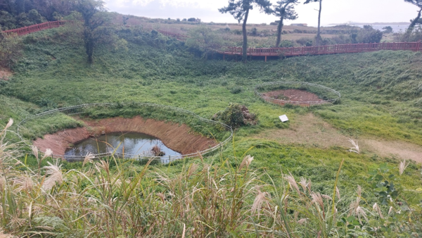 대정 지역에서 끌려온 사람들은 총을 맞고 왼쪽 구덩이, 한림 지역에서 끌려온 사람들은 오른쪽 구덩이로 굴러 떨어졌다. © 이봉수