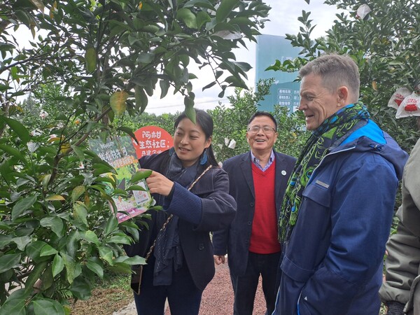 티에뉴츤 유기농 오렌지 농장.   한윤정