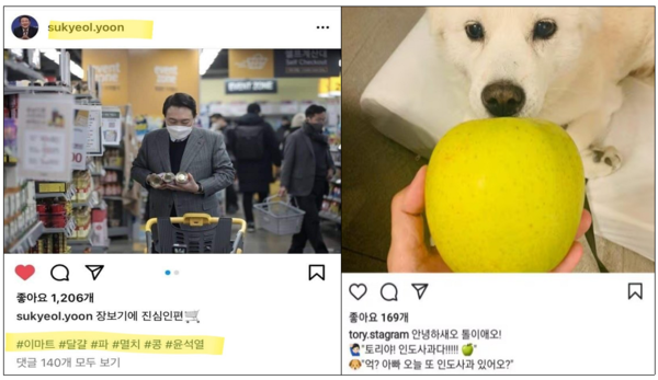윤석열 대선후보 측에서 SNS에서 올린 ‘멸콩놀이’ 사진과 ‘새사과’ 사진. 인터넷 갈무리. 