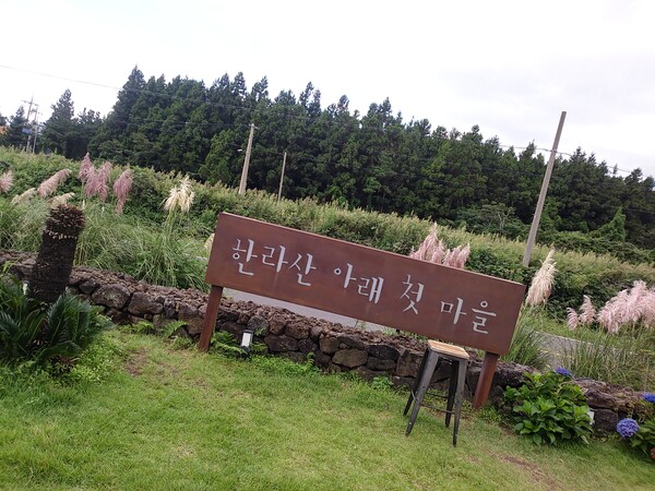 한라산 1,100m 고지에 자리잡은  ‘한라산아래첫마을’ 서귀포 광평리
