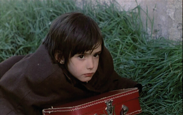 영화 '벌집의 정령' 한 장면.​​​​​​​​​​​​​​ 잔디 위에서 잠들었다가 깨어난 아나. 어른들의 세계에 실망하게 된 주인공이 배회하다가 다음 날 발견되는 장면이다. 아나는 영화 프랑켄슈타인에서 본 괴물과 현실 속 도망자를 연결 지으며, 자신만의 세계를 만들어가는 중요한 전환점을 보여준다. 그녀의 표정과 자세는 불안과 기대가 교차하는 순간을 포착한다.