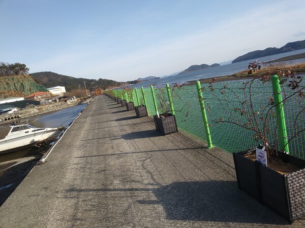 율티마을을 관통하는 남파랑길 산책로에 가구별로 분양받은 장미화분. 각자 ‘자율적으로’ 책임지고 관리하자고 굳게 약속했다.