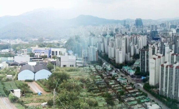 그린벨트(CG) 연합뉴스