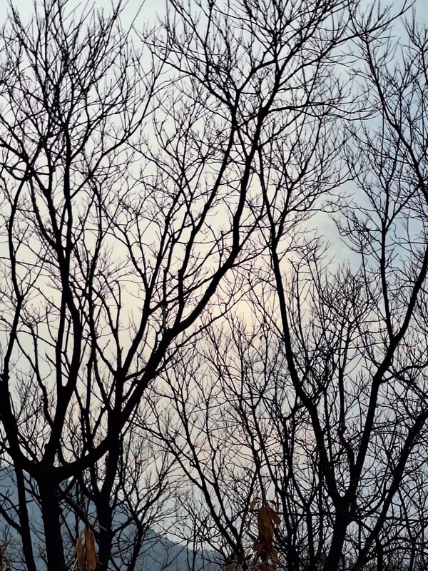 제106회 삼일절 아침, 서울 서대문 고은산에서 바라본 하늘. 2025.3.1. 사진=김원진 시민기자