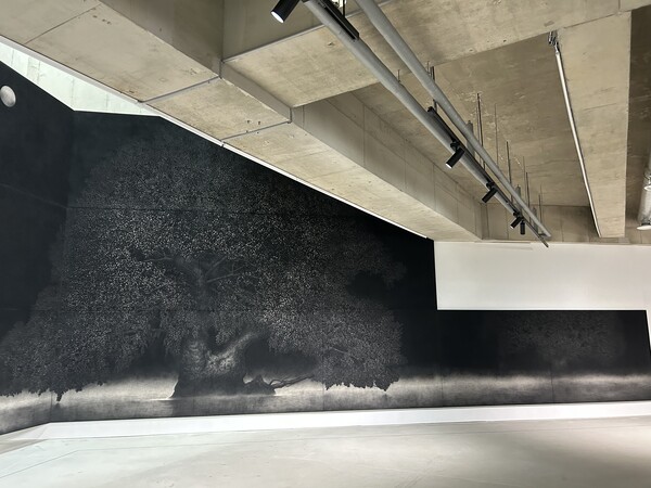 이재삼 '달빛녹취록 5' 전시 전경. 