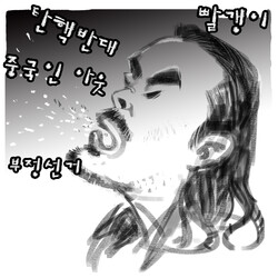 극우 유튜버