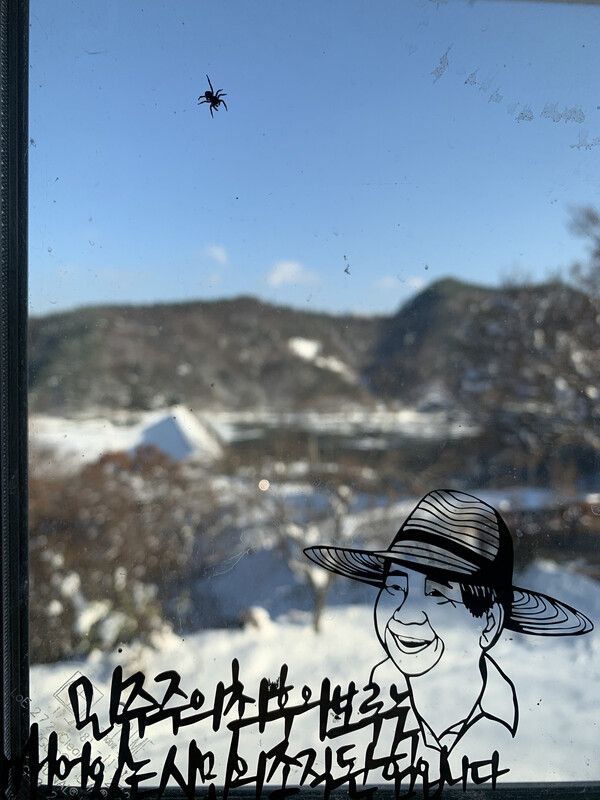 다락방 유리창에 붙어 있는 깡충거미.