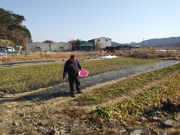 올초 율티리 마을공동체를 대표하는 새로운 이장으로 선출된 김정주 전 마을활동가