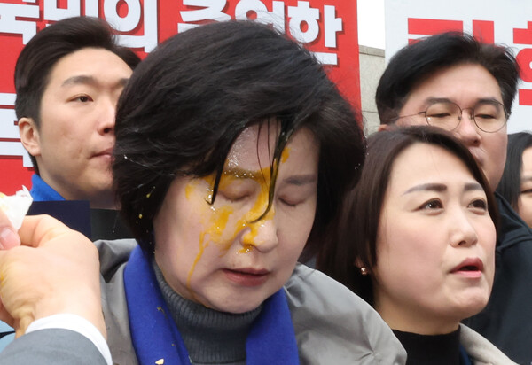 더불어민주당 백혜련 의원이 20일 서울 종로구 헌법재판소 앞에서 열린 민주당 원내부대표단의 윤석열 대통령 신속 파면 촉구 기자회견 도중 얼굴에 계란을 맞아 닦아내고 있다. 2025.3.20. 연합뉴스