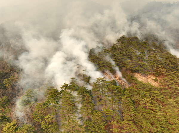  26일 산불이 번진 경북 청송군 주왕산에서 연기가 피어오르고 있다. 2025.3.26.  연합뉴스
