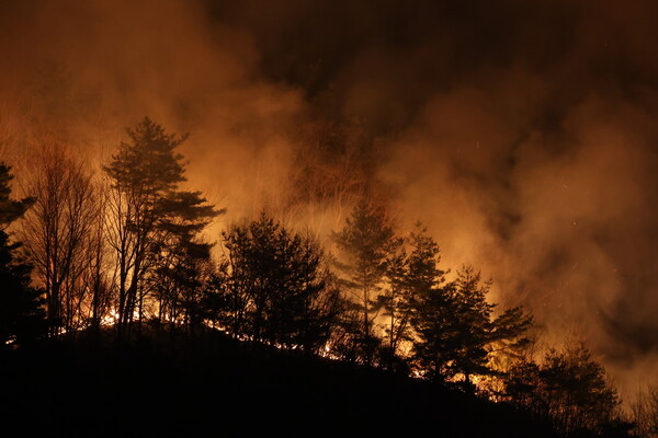  27일 오후 경남 산청군 시천면 야산에서 야간 산불이 확산하고 있다. 2025.3.27. 연합뉴스