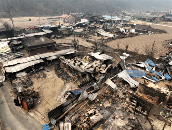 산불로 다 타버린 경북 안동시의 한 마을. (출처 : https://eye.seoul.co.kr)