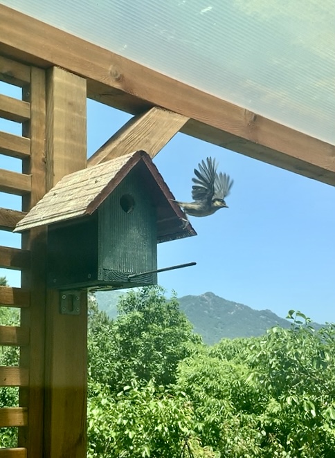 아기새가 둥지를 떠나는 순간.