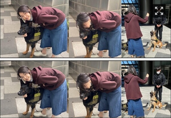 연합뉴스와 뉴시스 등이 보도한 김건희 씨와 반려견 사진.