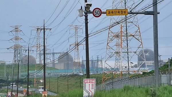 전선 가득한 새울원전 현장. @원전위험공익정보센터