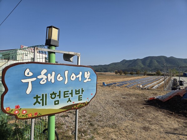 '우해이어보체험텃밭'