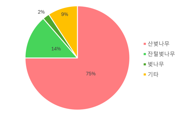 오대산 산벚나무 조사결과. 왕벚프로젝트2050 제공.